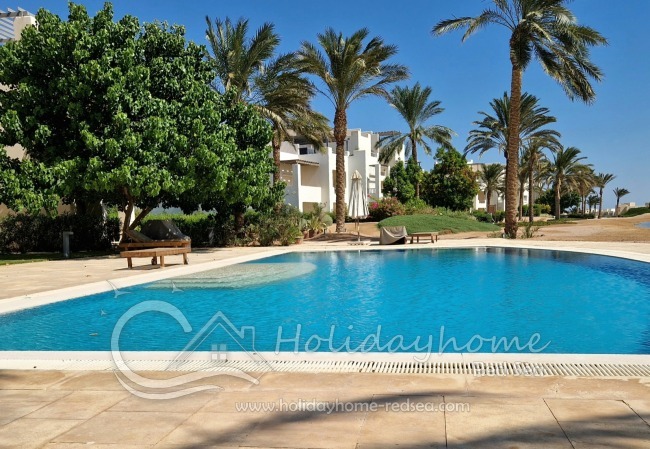 Shared pool with Palm trees