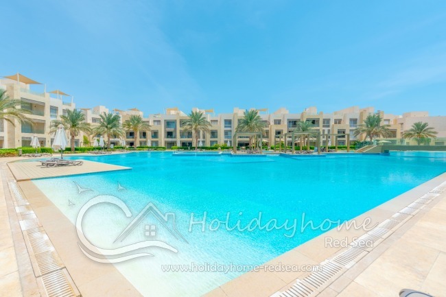 Shared pool with sunbeds